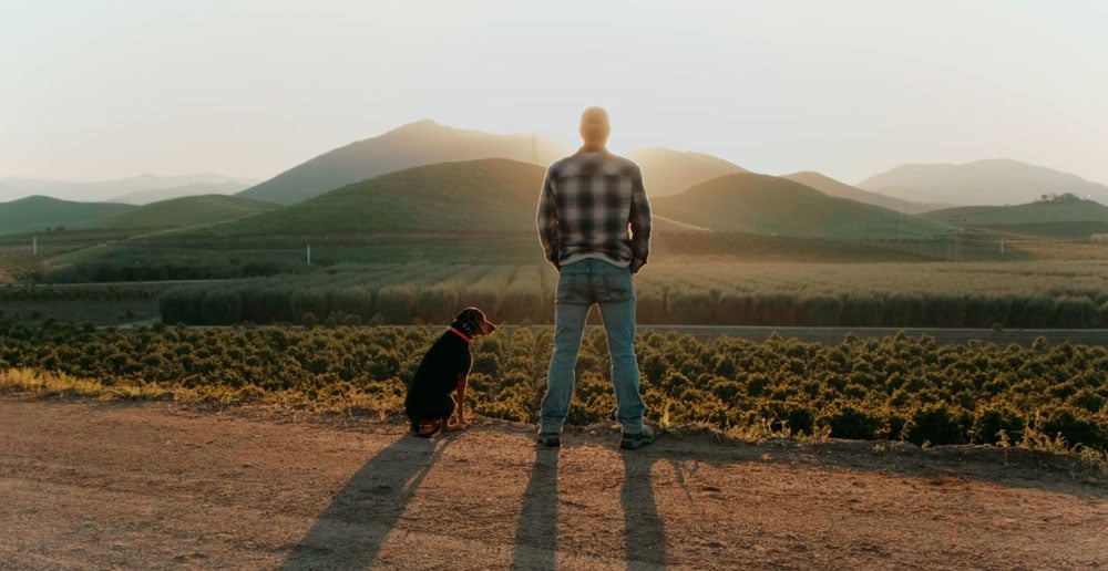 A man and a dog standing in front of a field, looking into the horizon as the sun rises.