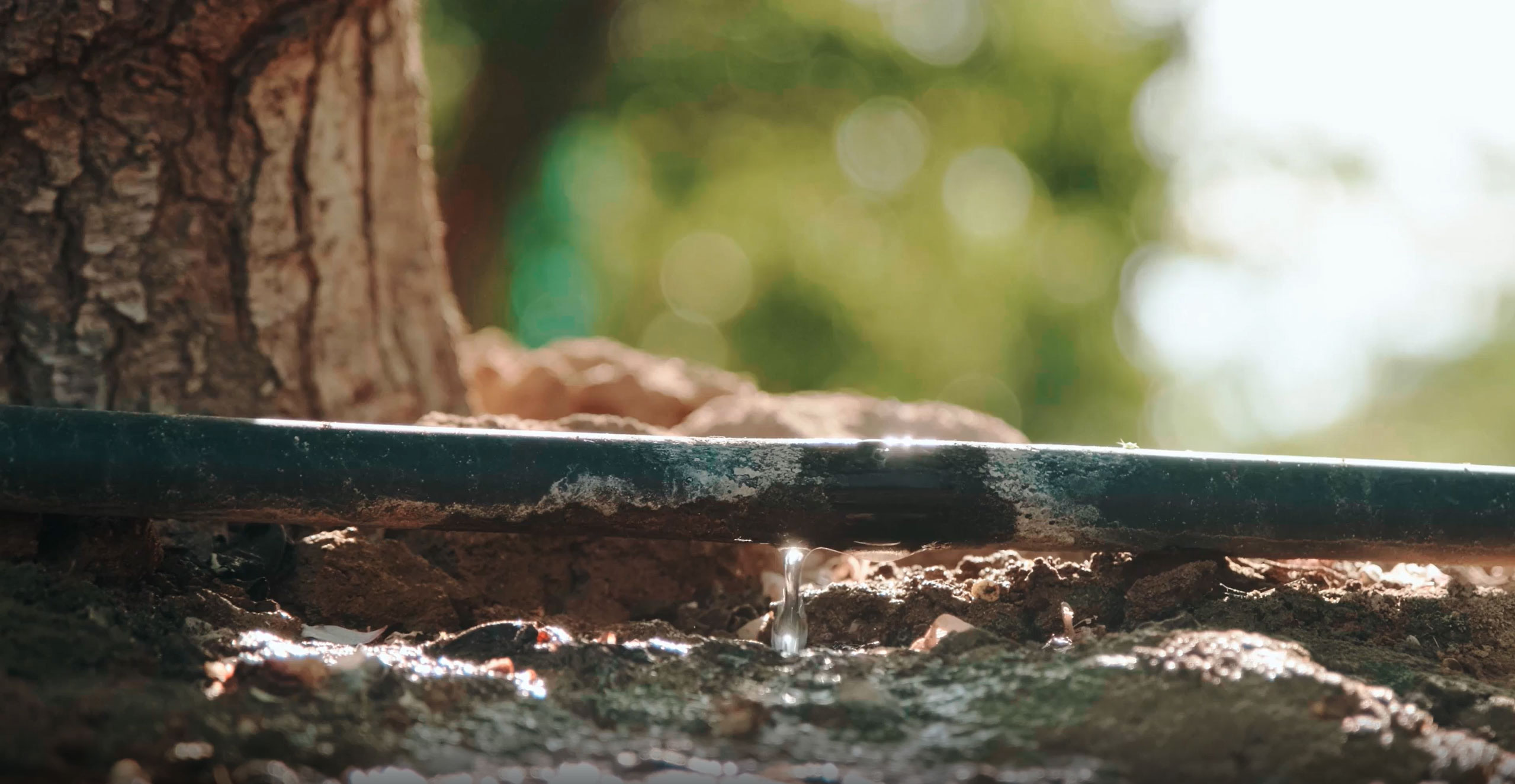 Water-dripping